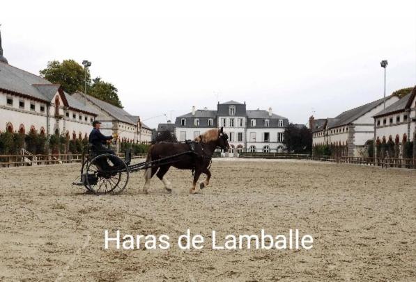 Perle Rare, Appartement Paisible Et Cosy Lamballe Exterior photo